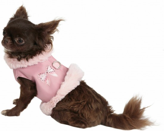 1579022921 MON BONBON