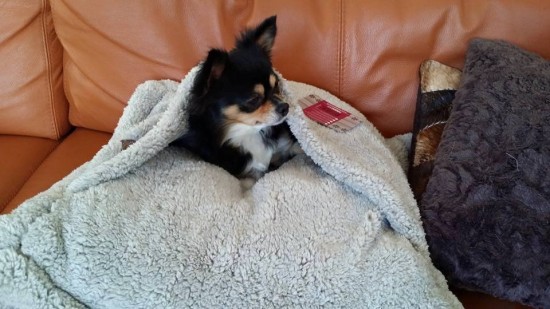 1715562219223684579995144605020438830980588n