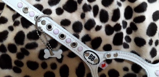 Buddybelt whitecap met roze stiksels en roze swarovski steen