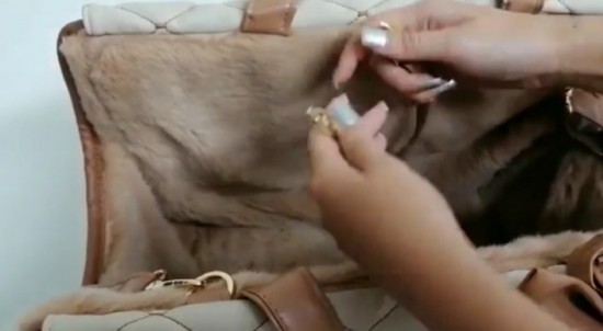 Eh Giá  Passenger Bag