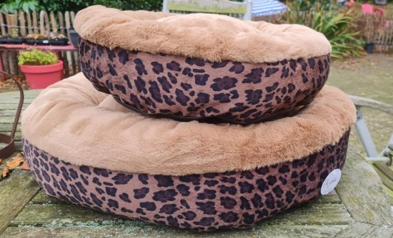 25590353316980261870662335011306674897504018n