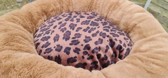 25638732316980263903995467484444346416105213n