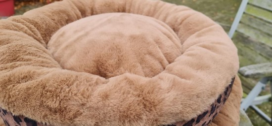 25751348516980262670662253049385988142256769n