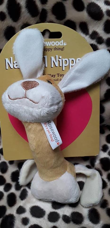 453859835649794606069442706446699244552192n