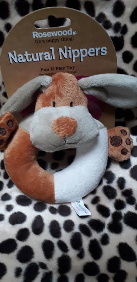 455557515649794839402757802469165960265728n