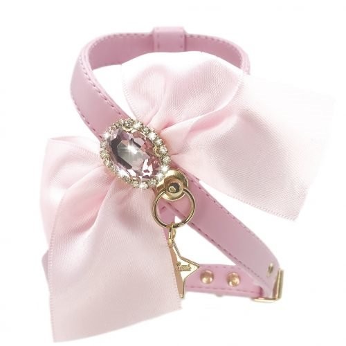 Arnescameorosa 500x500