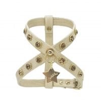 Arnesgoldcrystal 200x200