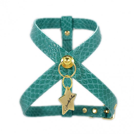 Arnessnaketurquesa