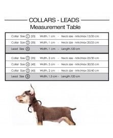 Collier stardust or1