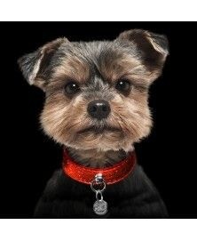 Collier stardust rouge 1