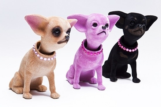 Dashboard chihuahua's