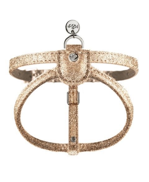 Harnais stardust gold