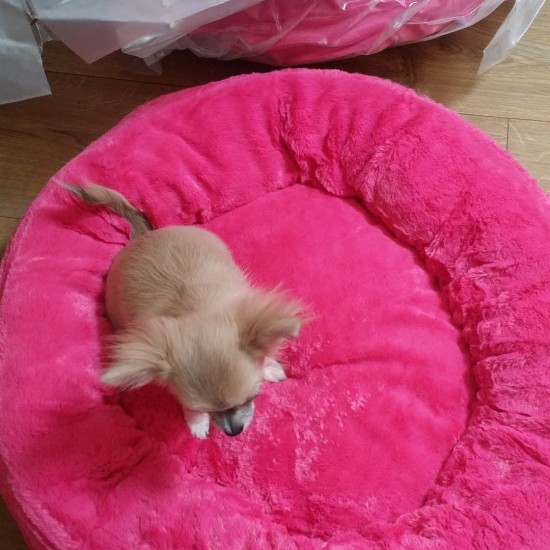 Img20180604161911528