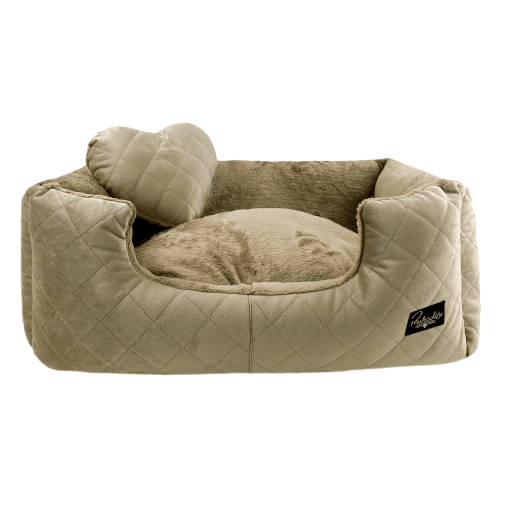 Img3614 copia 510x510 1