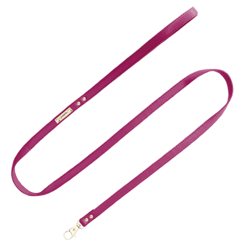 Img6148 510x510pngpagespeedcenqgwosbdjw