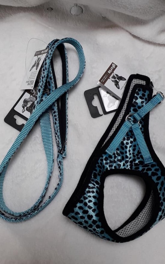 Gloria Leopard blauw  lijn voor bij de Gloria tuigjes