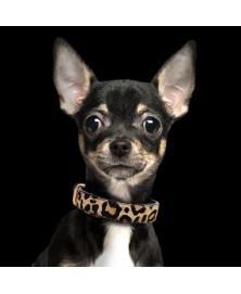 Leopard leather collar 2