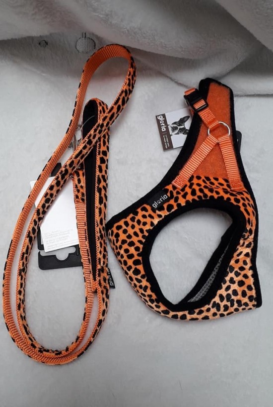 Gloria Leopard oranje  lijn voor bij de Gloria tuigjes