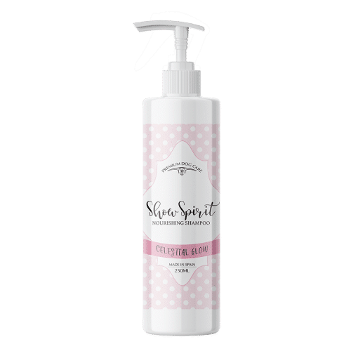 Mockupnuevochampus 510x510 0