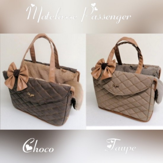 Eh Giá  Passenger Bag