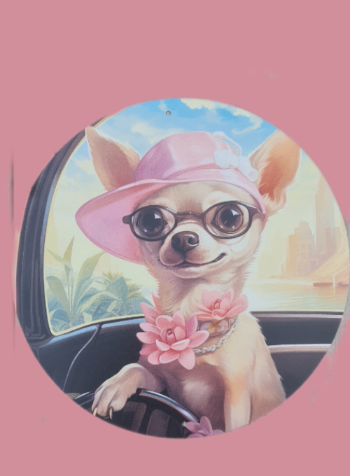 Picretouch20240508094355640