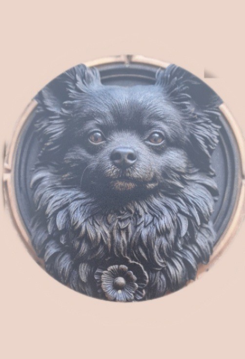 Picretouch20240508094755982