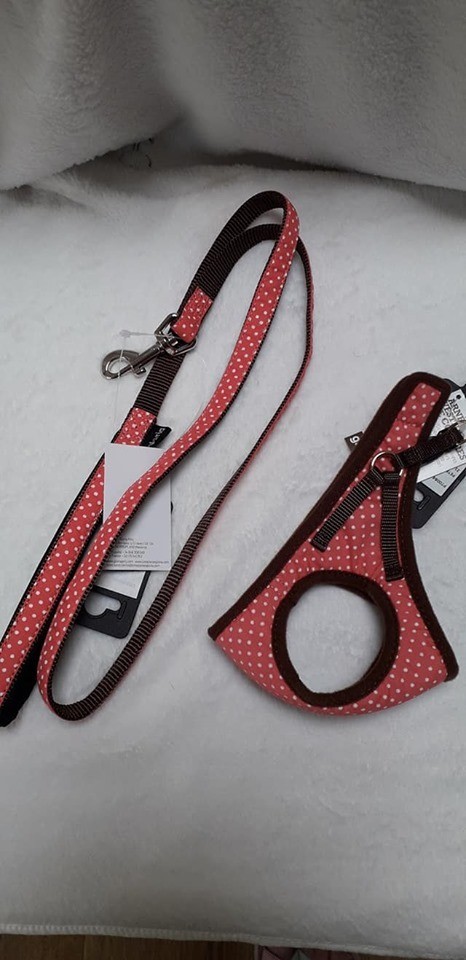 Gloria Roze dots lijn voor bij de Gloria tuigjes