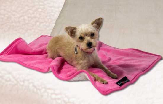 JACK AND VANILLA DEKEN