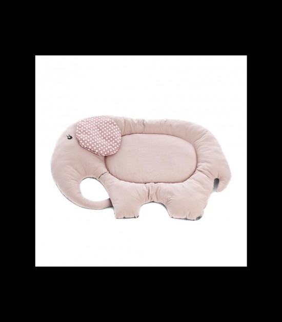  ROSE VLOERKLEED FERRIBIELLA