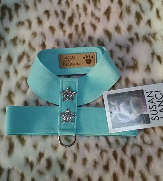 Tinki harness tiffi blue s