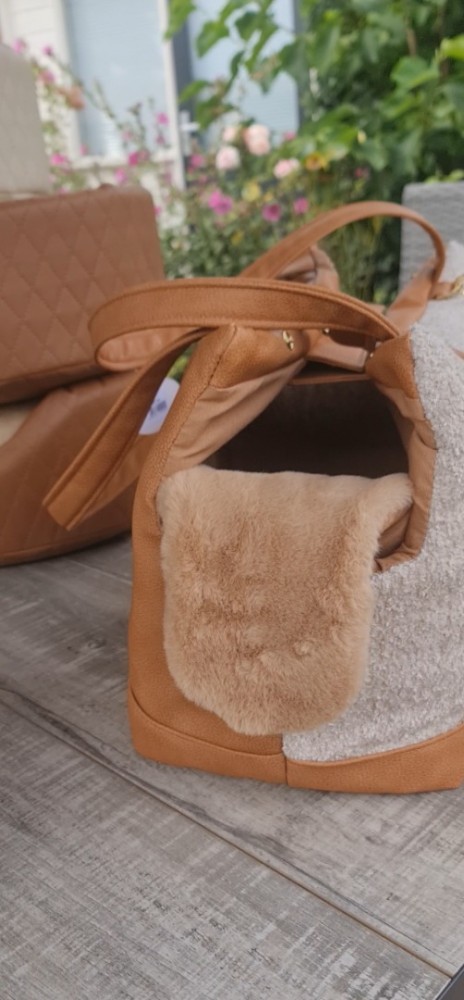 Videocapture20241020 110029